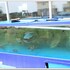 basapan pension