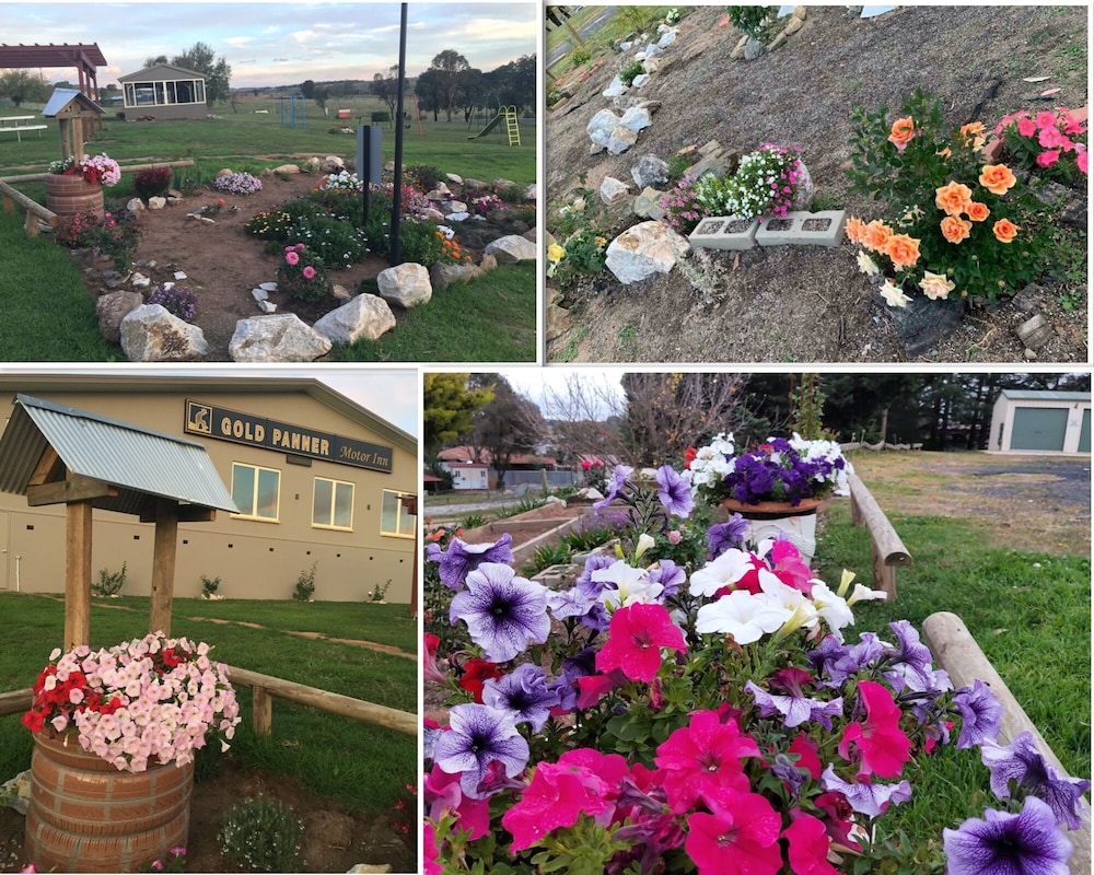 gold panner motor inn