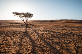 Sama Al Wasil Desert Camp,Bidiya>>Al Wasil,3 star