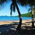 jackaroo treehouse mission beach hostel