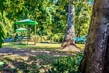 jackaroo treehouse mission beach hostel
