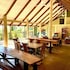 jackaroo treehouse mission beach hostel