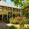 jackaroo treehouse mission beach hostel