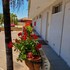 econo lodge rivervale
