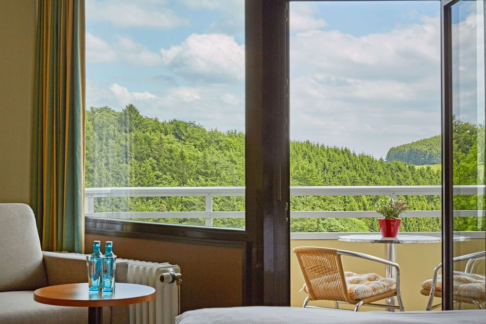 h hotel willingen