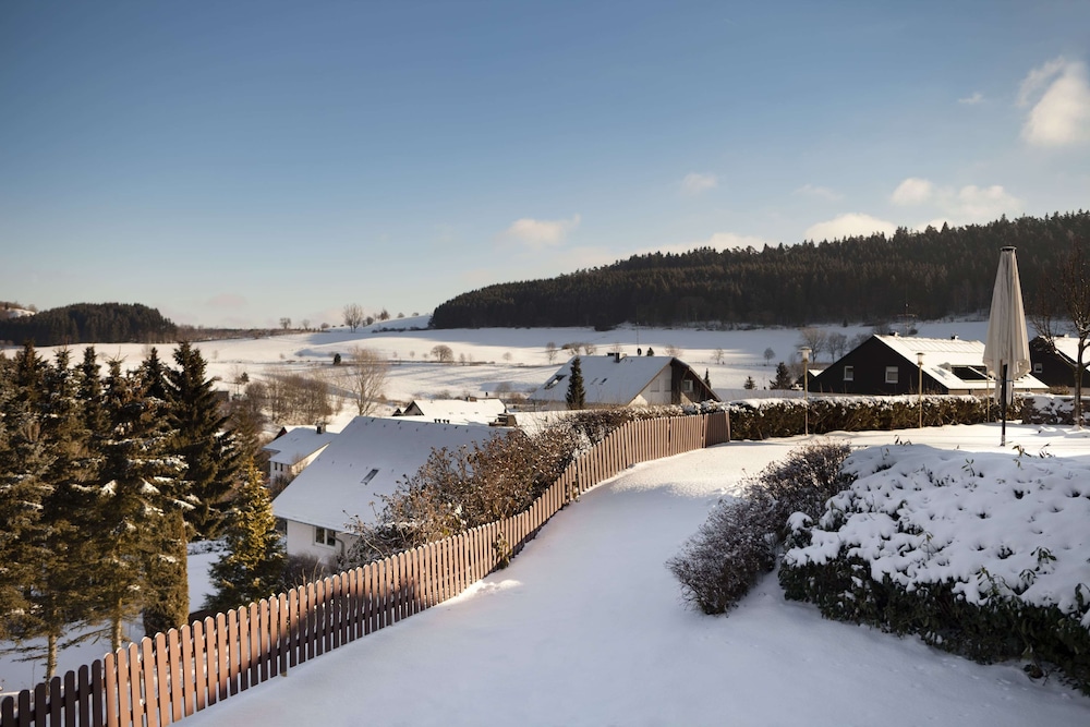 willingen