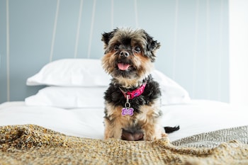 bedruthan hotel and spa