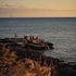 ses salines