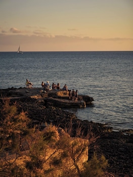 ses salines