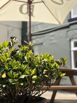 the norfolk arms