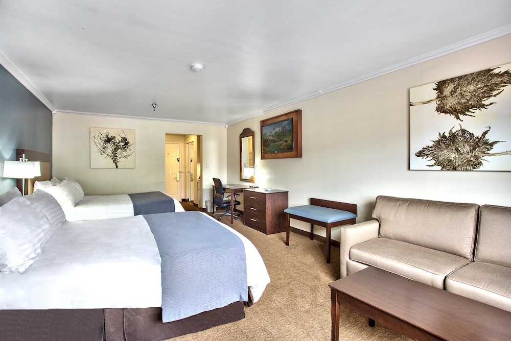 best western mountain view inn