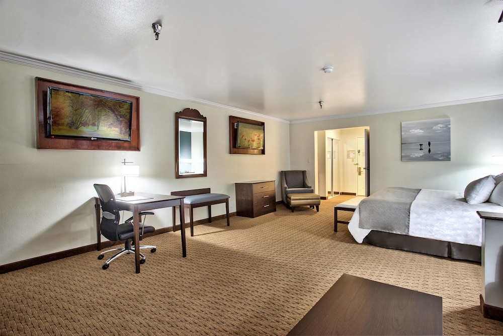 best western mountain view inn