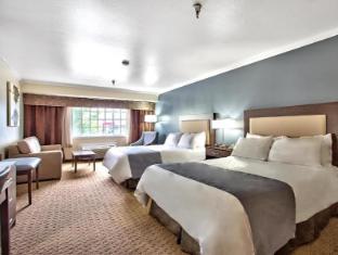 best western mountain view inn