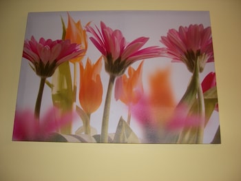 Hotel Serenella,Vanchiglia>>Turin,2 star