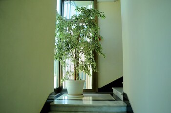 Zola International Hotel,Bole>>Addis Ababa,4 star