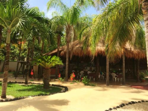 villas coco resort adults only