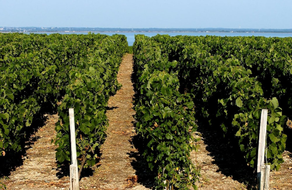 vvf villages soulac sur mer