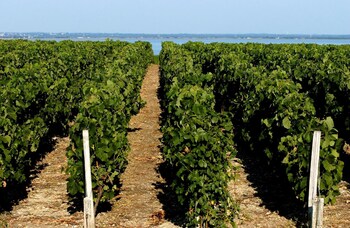 vvf villages soulac sur mer