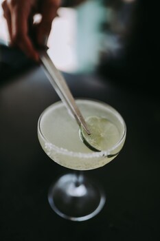 hotel 1110 adults only