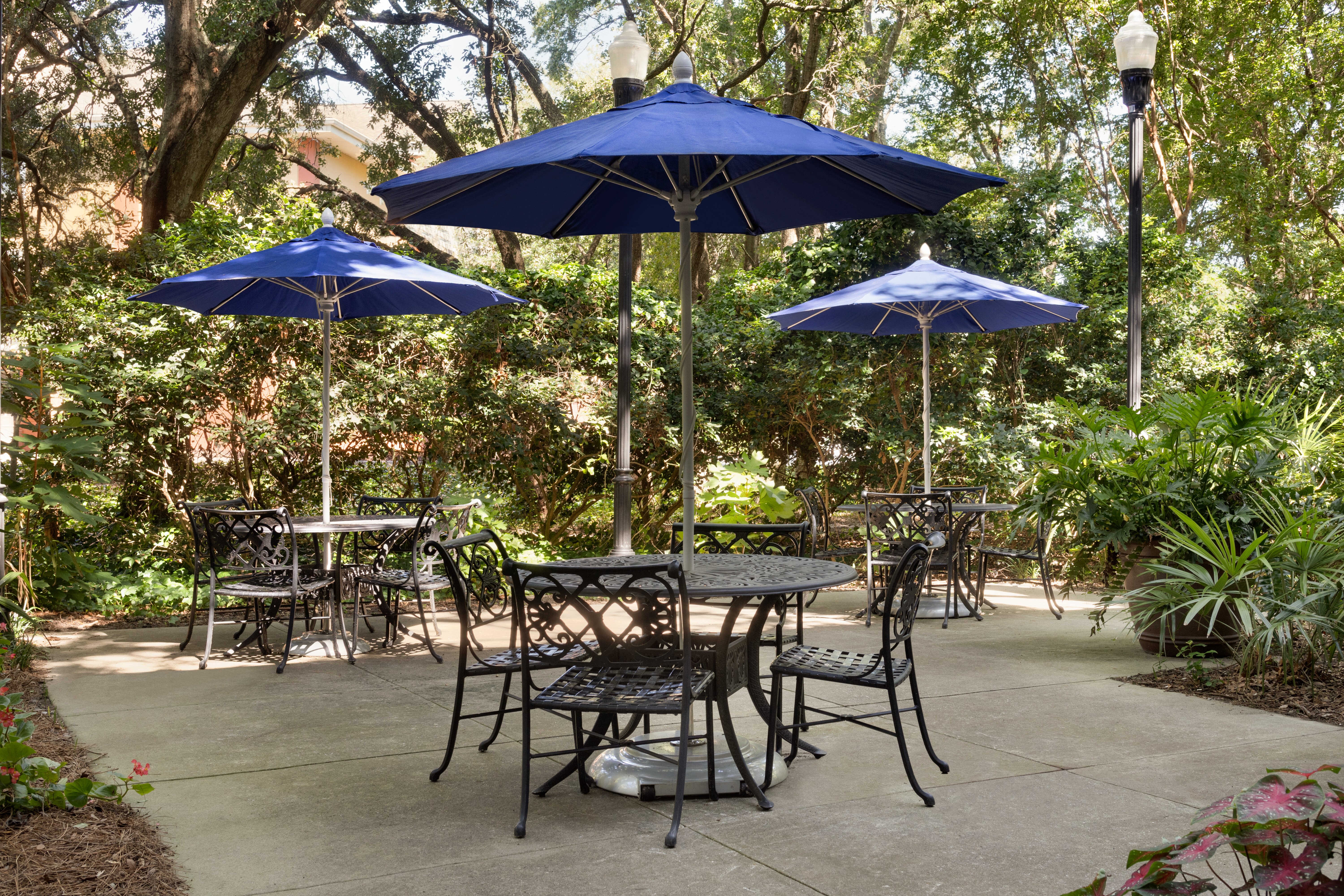 holiday inn express and suites mt pleasant by ihg