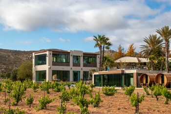 valle de guadalupe