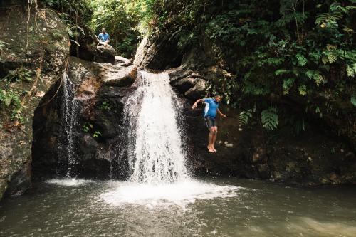 papageno resort and dive