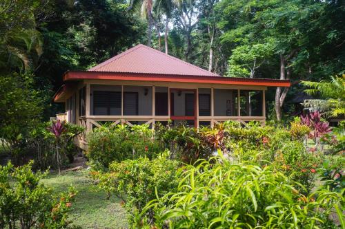 kadavu island