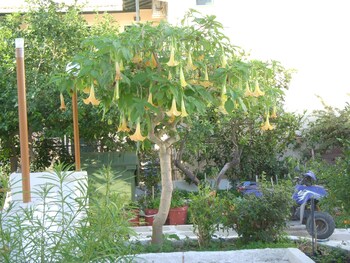 likourgos beach apartments