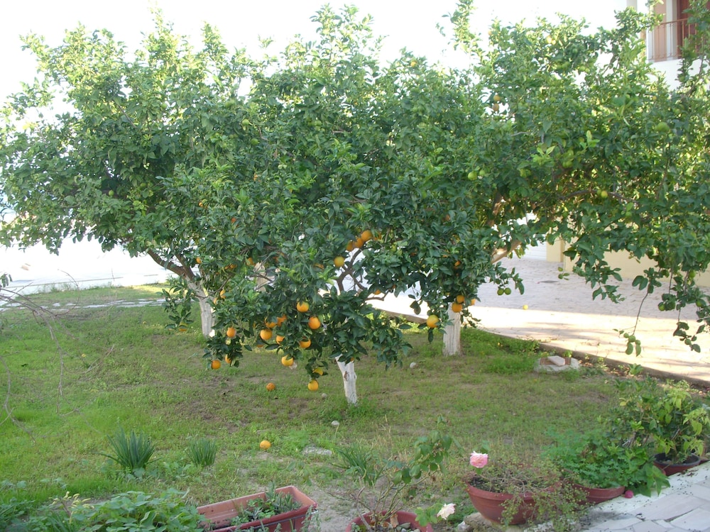 likourgos beach apartments