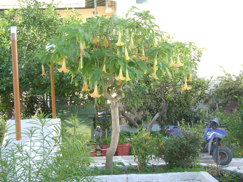 likourgos beach apartments