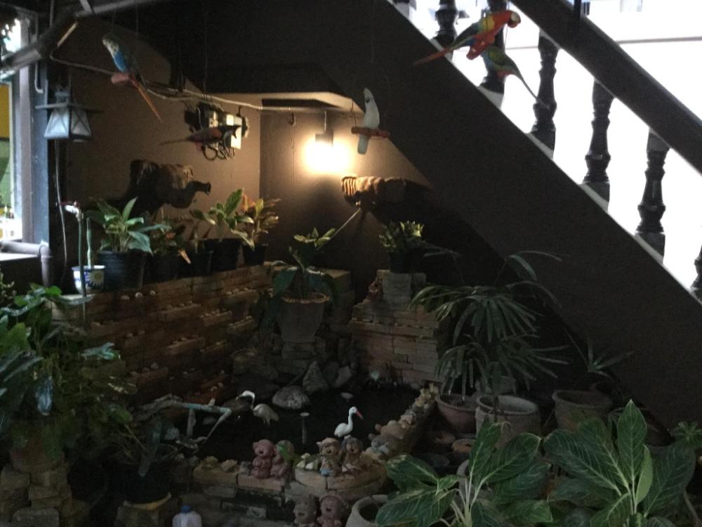 north star guest house