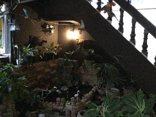 north star guest house