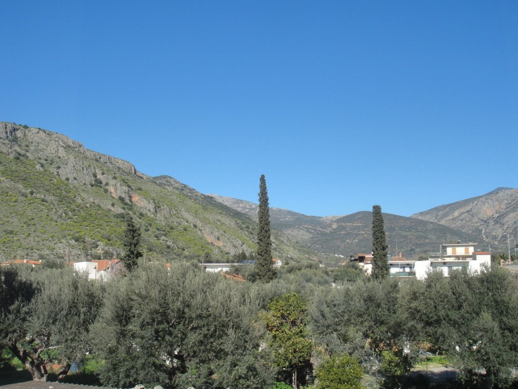 paradisos