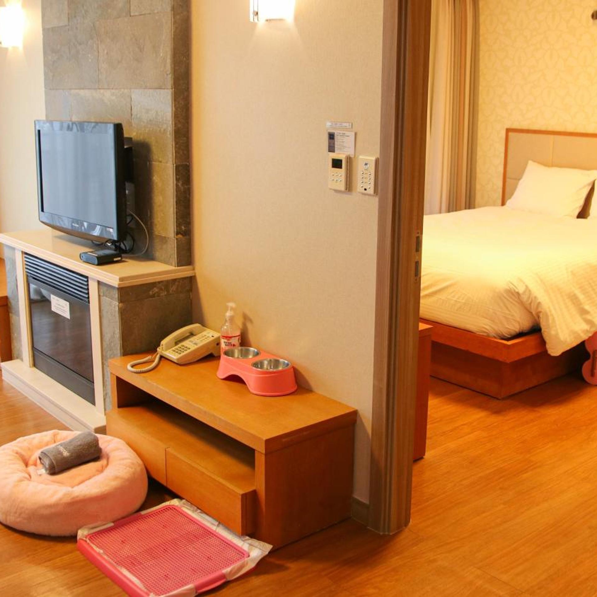holiday inn alpensia pyeongchang suites by ihg