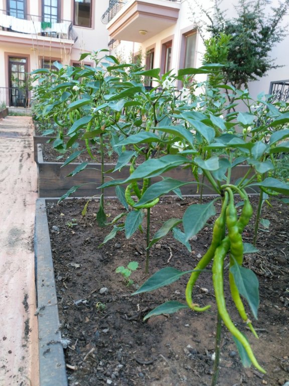 Vira Apart Hotel,Fethiye>>Dalaman,3 star