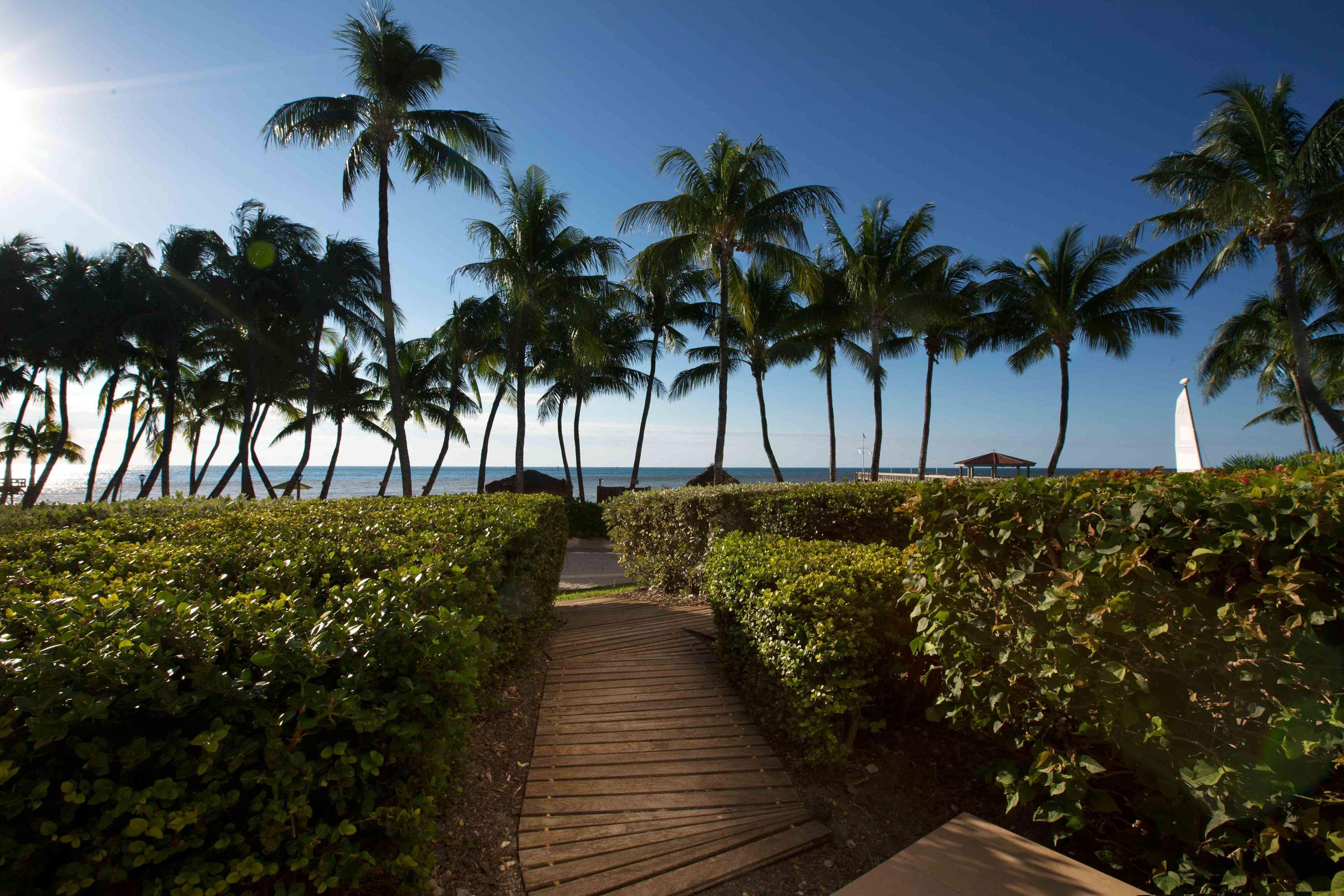 casa marina key west curio collection by hilton