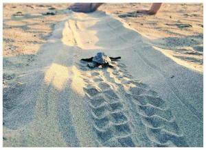 natura club hotel and spa adults only