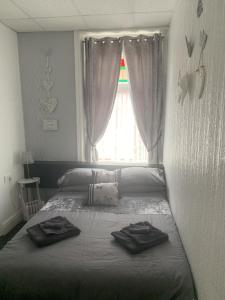 the butterfly hotel adults only