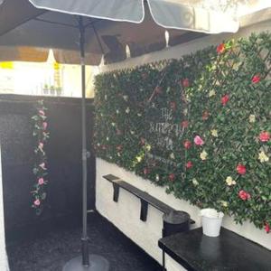 the butterfly hotel adults only