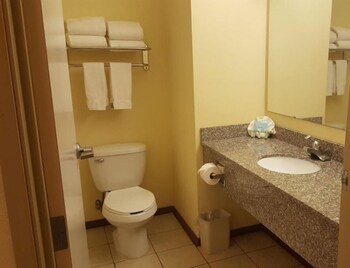 reddy hotel
