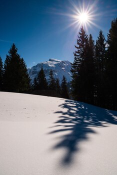 h hotel and spa engelberg