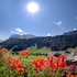 engelberg