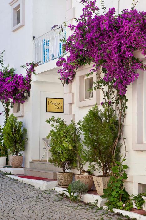 moshinos otel
