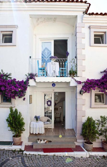 moshinos otel