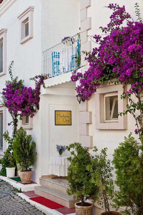 moshinos otel