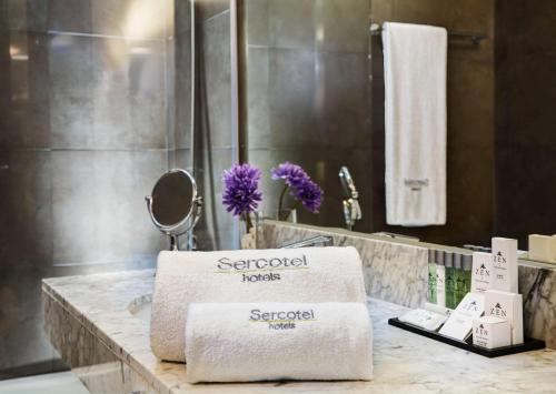 sercotel amister art hotel