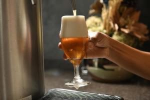 hotel rainha do brasil