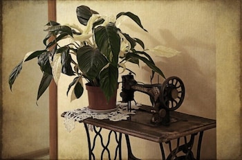 rostov