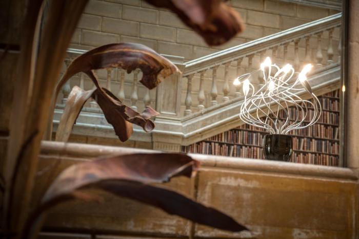 catalonia portal de langel