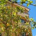 hotel astoria sorrento